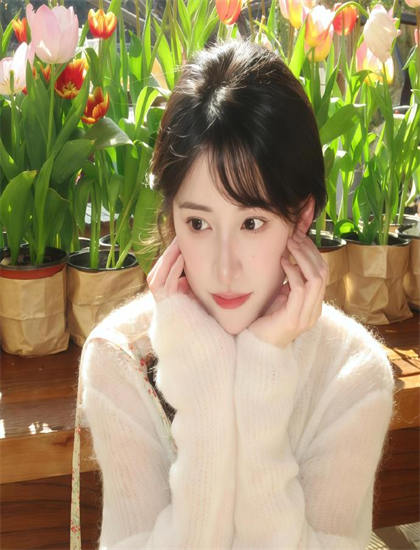 蓝猫小学600句美学价值科学分析耐人寻味的：艺术美感与审美特征探讨